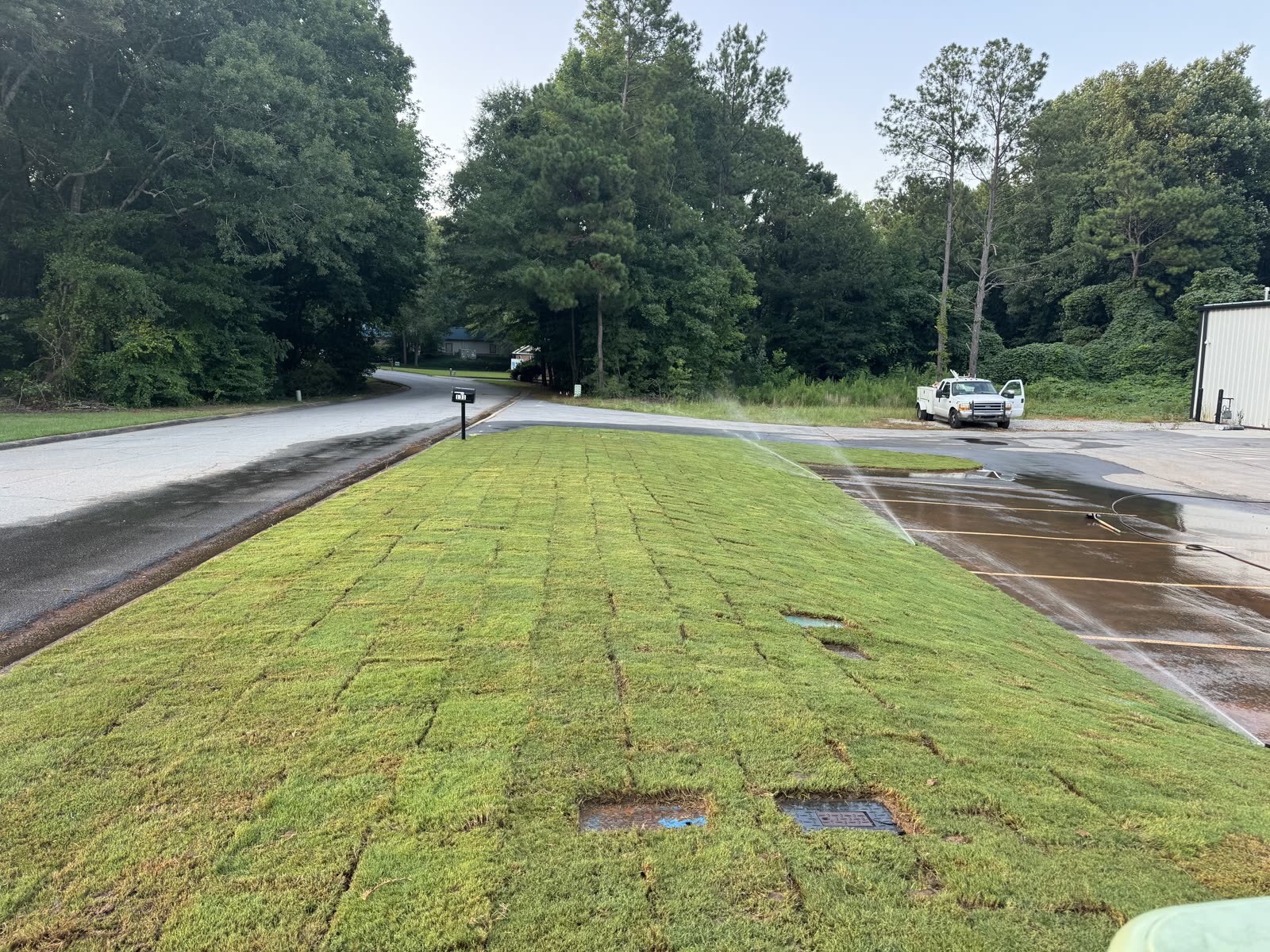 Close view of freshly installed sod with sprinklers running